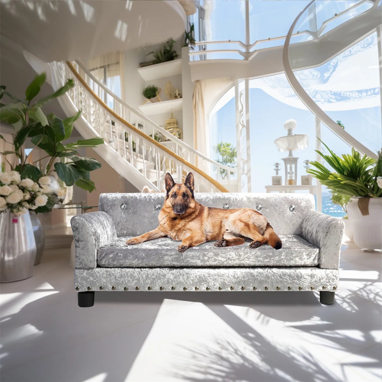 BINGOPAWCN Deluxe Tufted Elevated Dog Sofa Bed Memory Foam