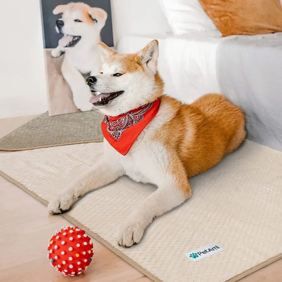 Waterproof Dog Blanket Leakproof Pet Cover For Dogs