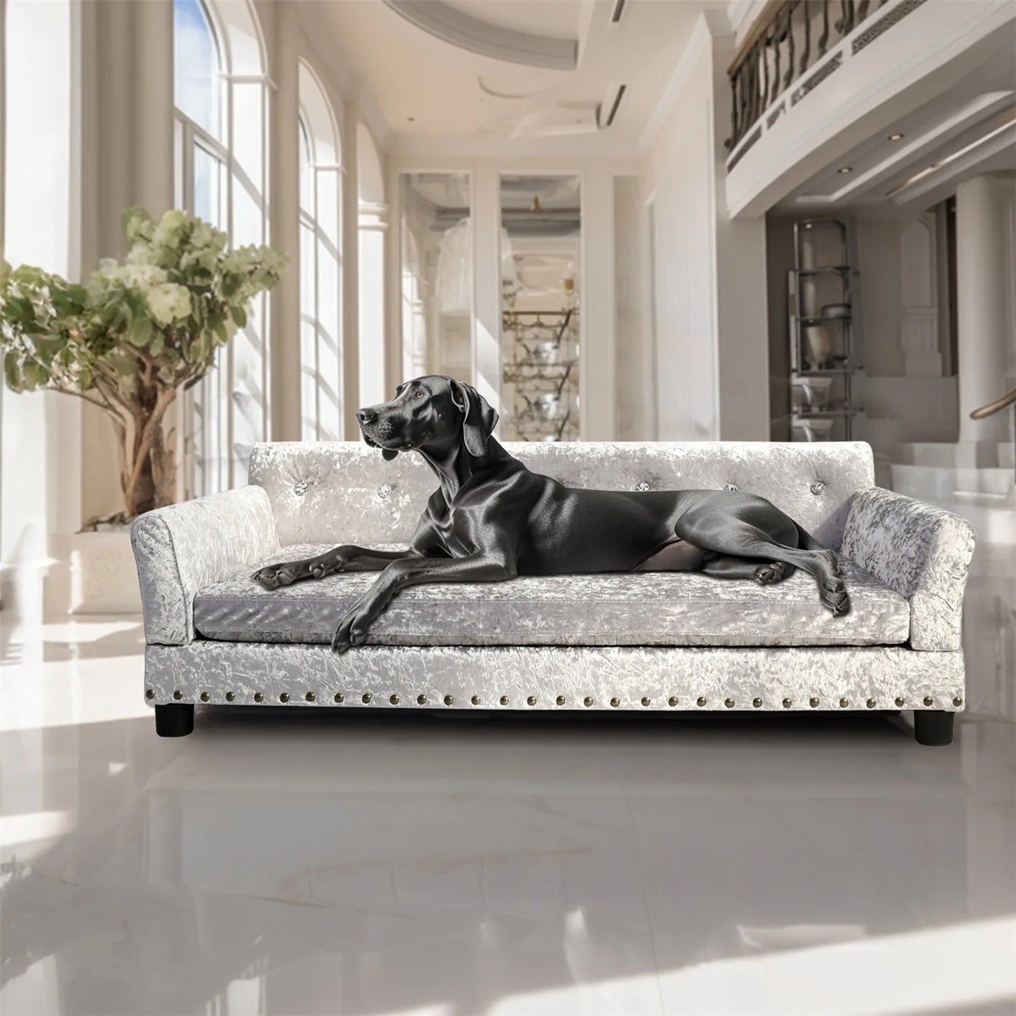 BINGOPAWCN Deluxe Tufted Elevated Dog Sofa Bed Memory Foam