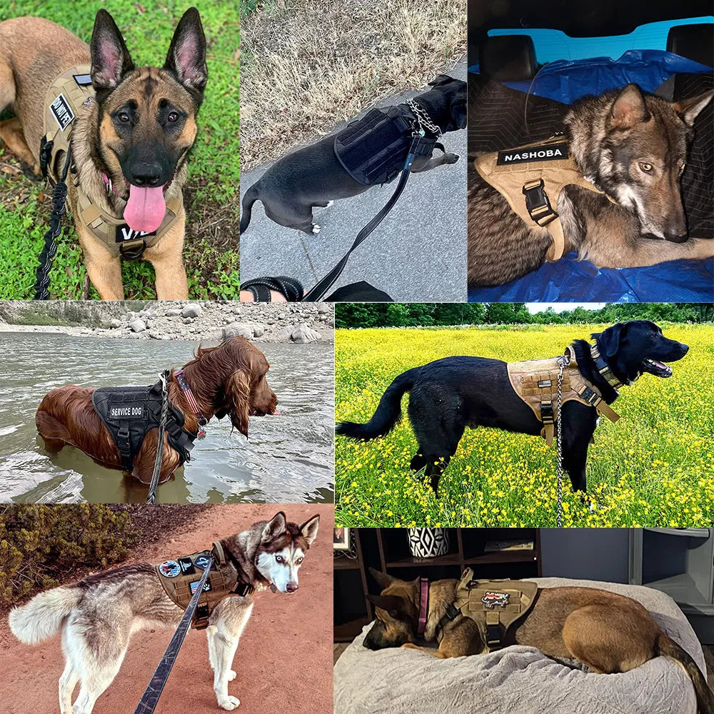 PETRAVELCN Dog Harness And Leash Set Vest For German Shepherd Malinois