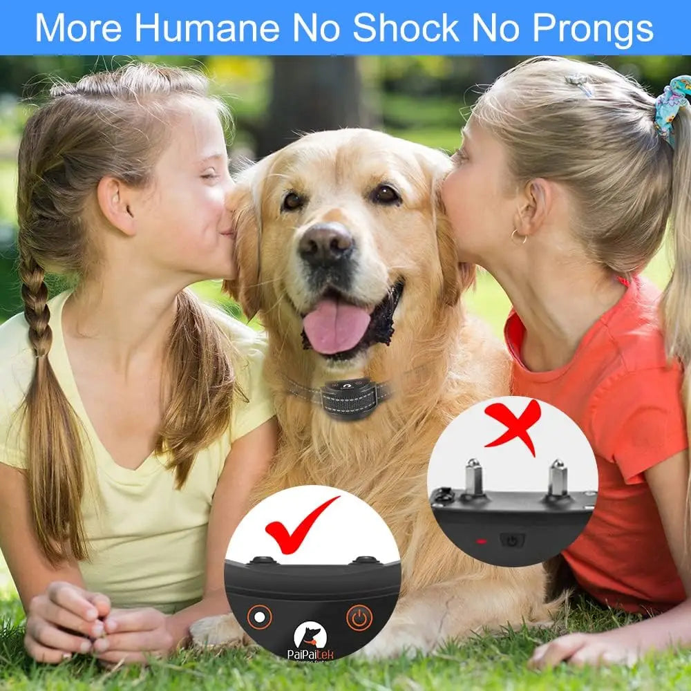 No Shock Dog Training Collar With Remote 1600ft Vibration Waterproof